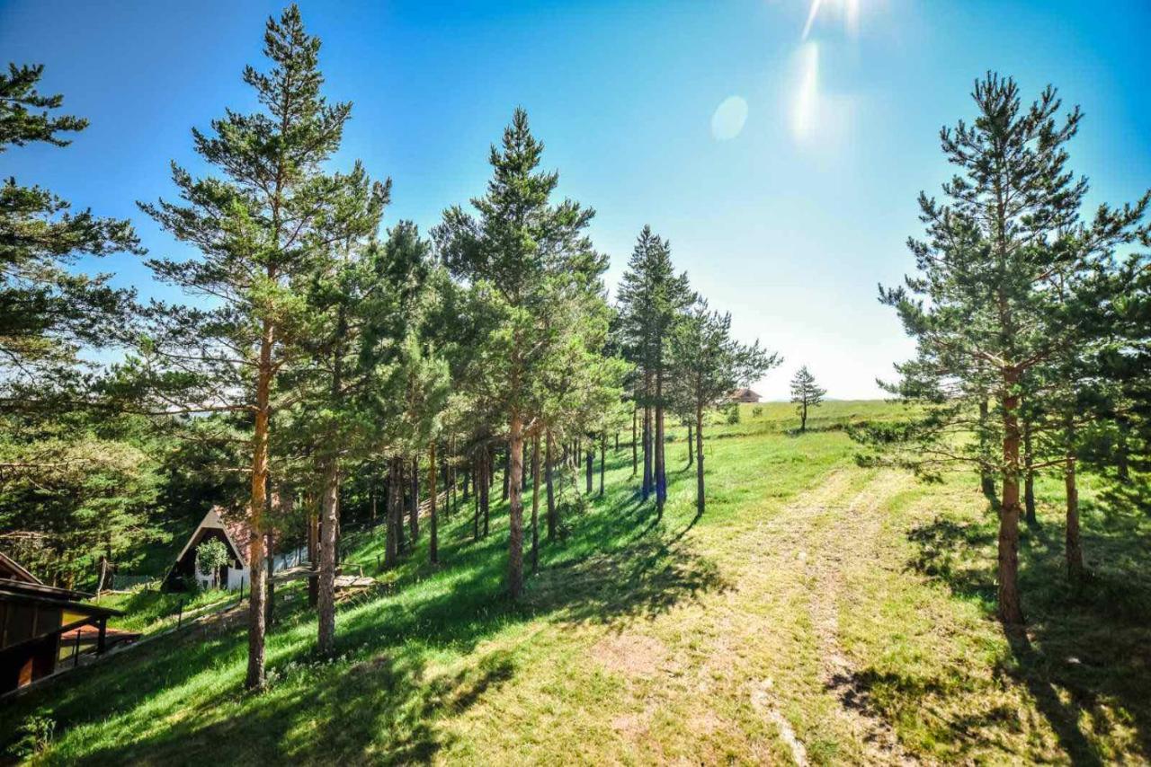 Ng Apartmani Tornik Zlatibor Extérieur photo